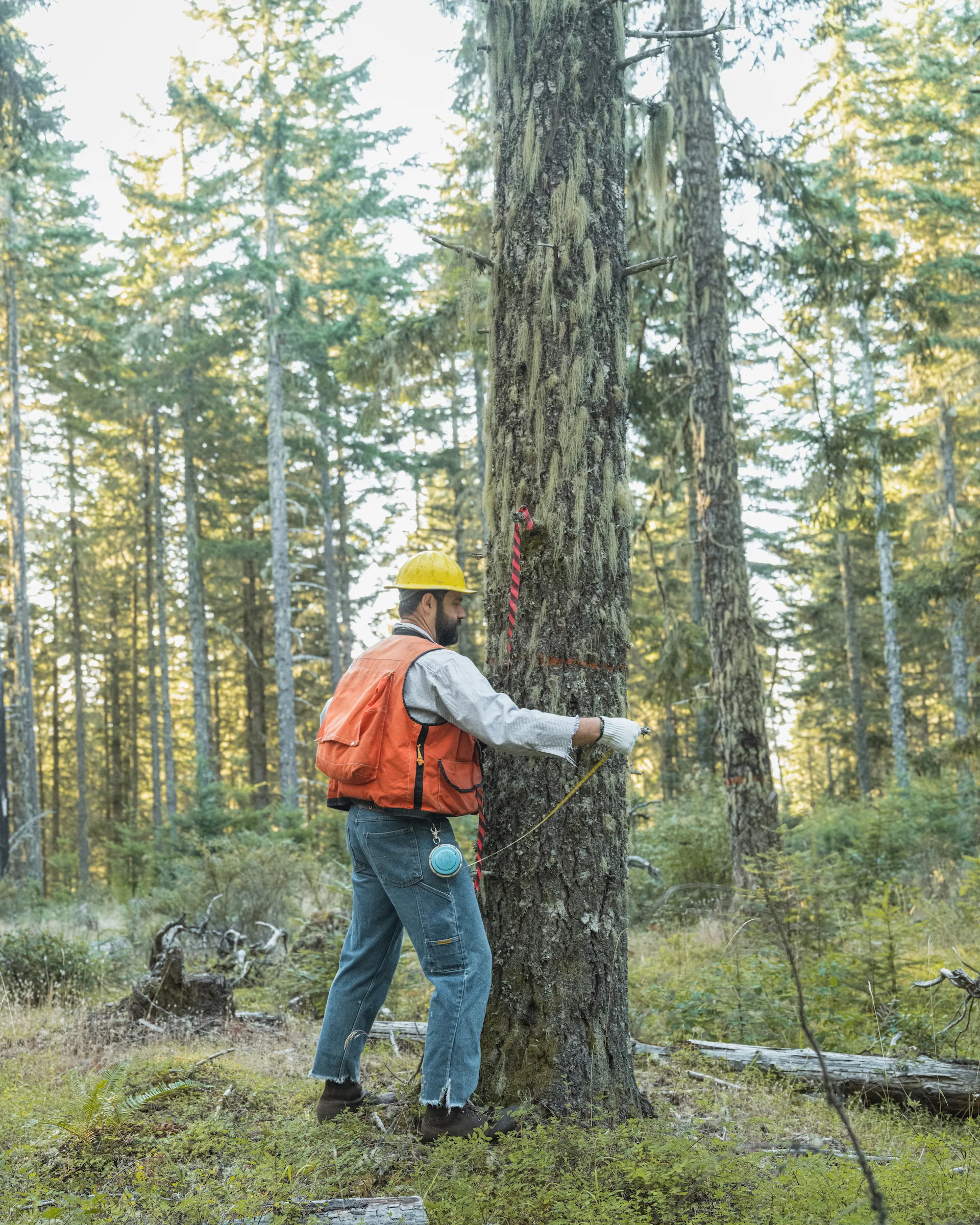 Drew’s 10” Logger Brown Rough Out - Image 19